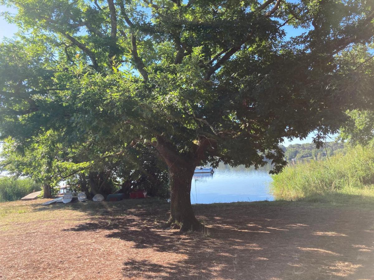 Les Ptits Nids Du Lac Lacanau Bagian luar foto